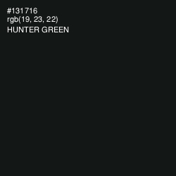 #131716 - Hunter Green Color Image